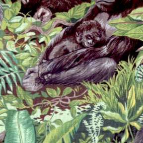 African Influence - 97