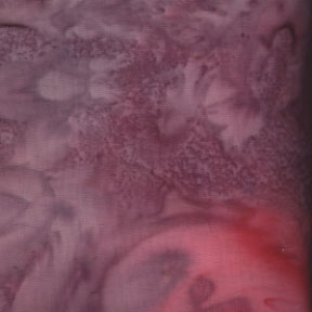 Patterned Batik Heather/Rose 2