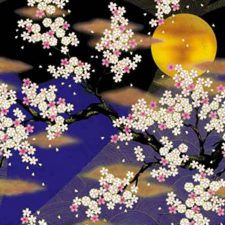 Emperor II Collection 22P