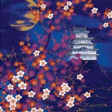 Emperor II Collection 24P