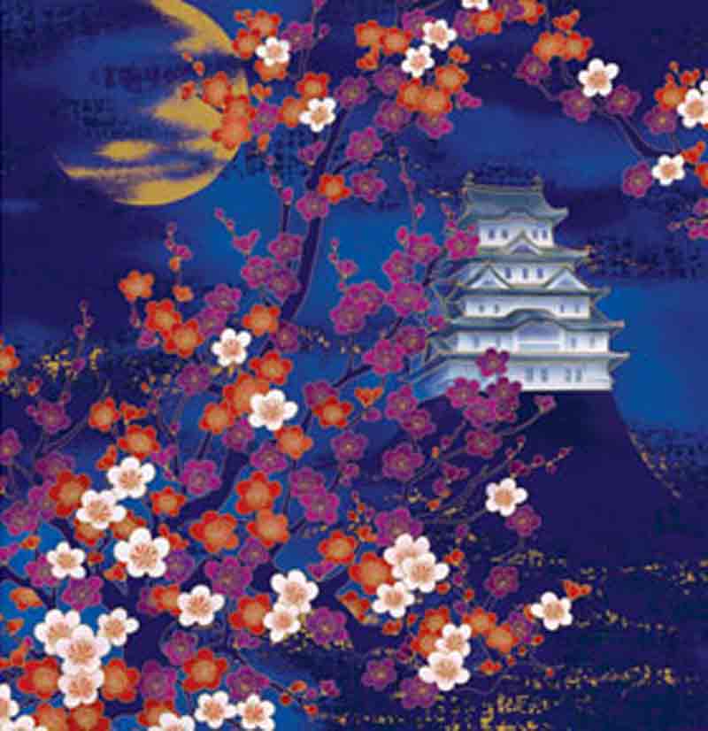 Emperor II Collection 24P