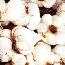 Fruit and Veg - Garlic