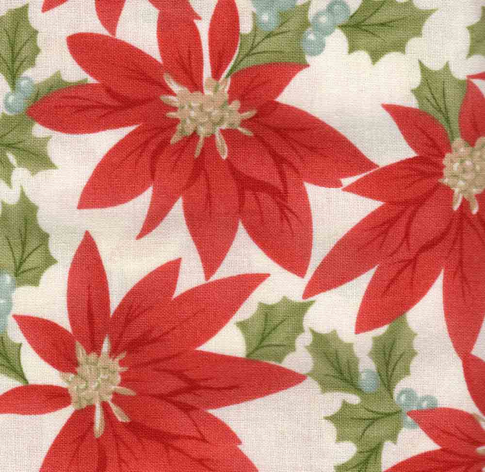 Christmas Poinsettia 4